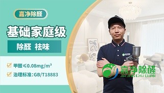 家庭国标级甲醛治理