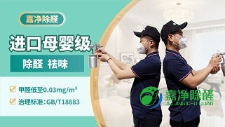 家庭母婴级甲醛治理