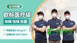 家庭欧标医疗级甲醛治理