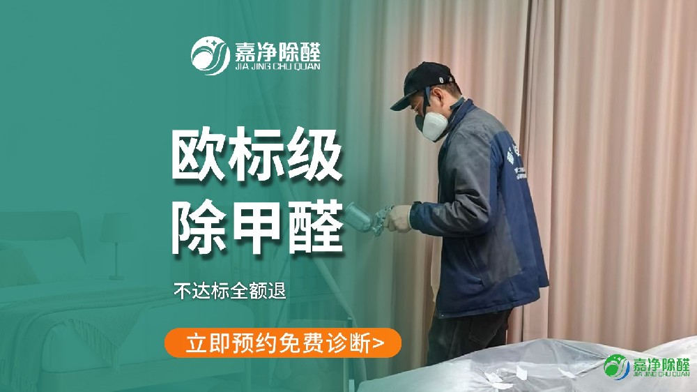 家庭欧标医疗级甲醛治理